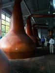 Stills at Glendullan Distillery