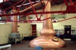 Picture 4 of The Bladnoch distillery