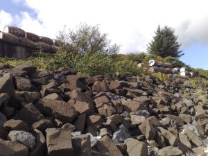 Bunnahabhain whisky  barrels