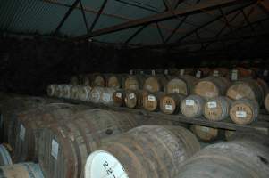 Bruichladdich Whisky barrels